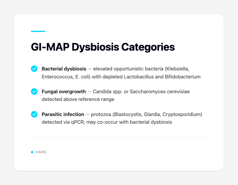 GI-MAP Dysbiosis Categories