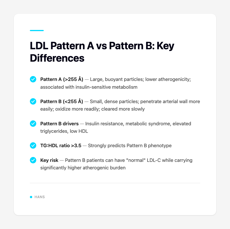 LDL Pattern A vs Pattern B: Key Differences