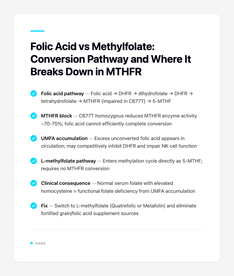 Folic Acid vs Methylfolate: Conversion Pathway and Where It Breaks Down in MTHFR