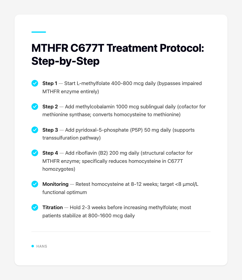 MTHFR C677T Treatment Protocol: Step-by-Step