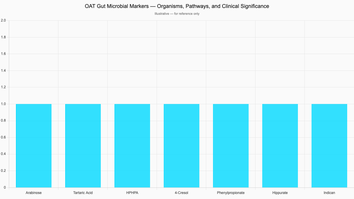 OAT Gut Microbial Markers — Organisms, Pathways, and Clinical Significance