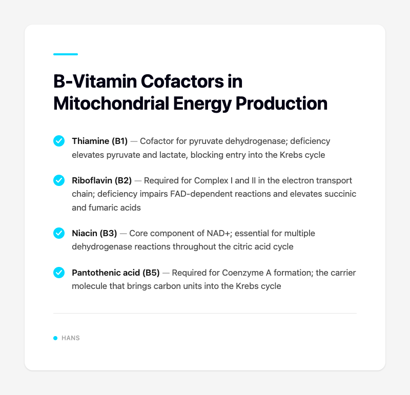 B-Vitamin Cofactors in Mitochondrial Energy Production