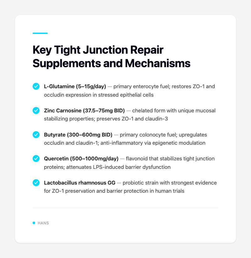 Key Tight Junction Repair Supplements and Mechanisms