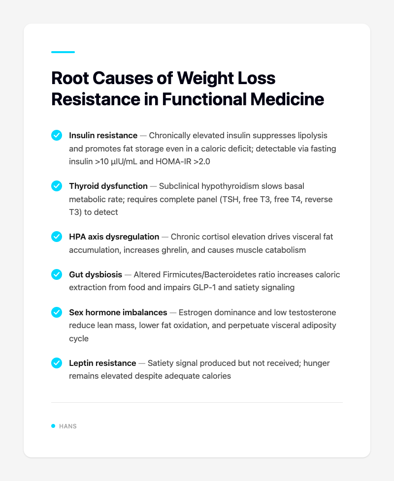 Root Causes of Weight Loss Resistance in Functional Medicine